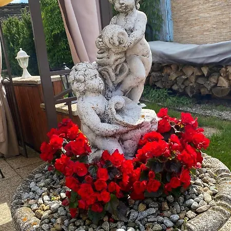 Petra Bed&breakfast